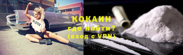 индика Бронницы