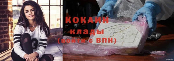 индика Бронницы